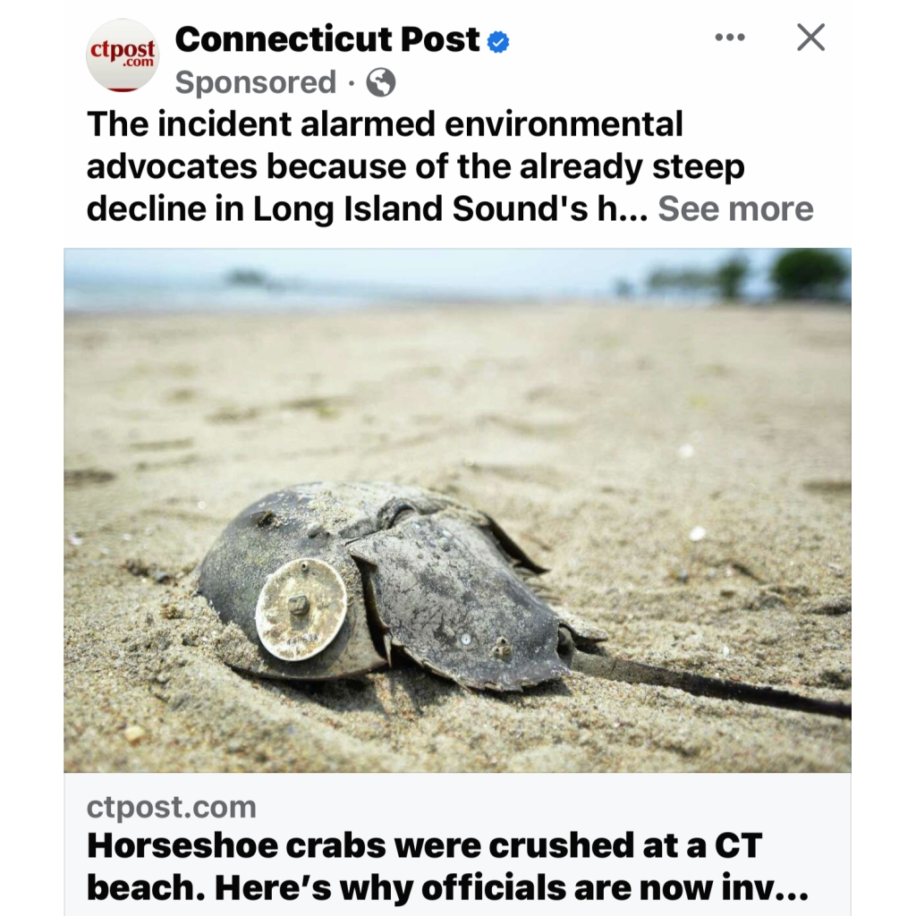 Social (Media) Justice for Horseshoe Crabs at Seaside Park