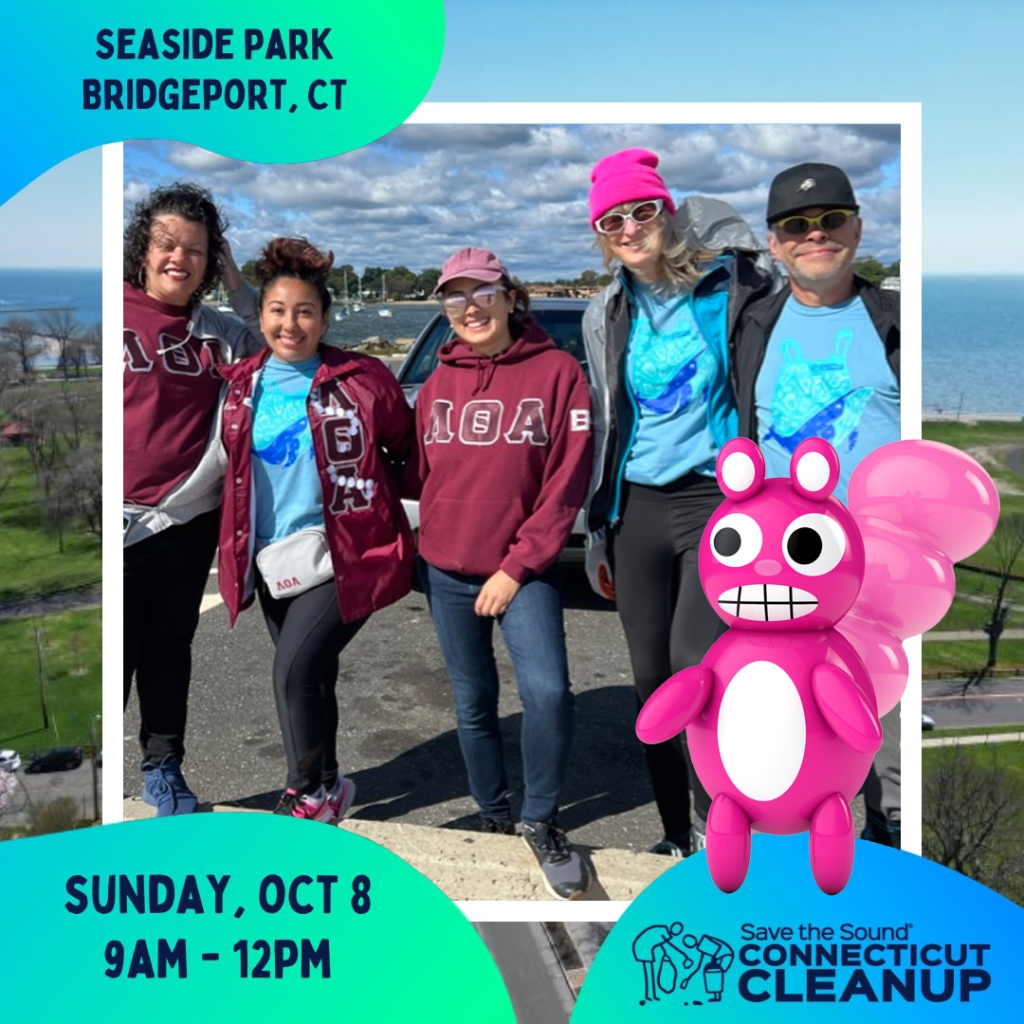 Save the Sound Beach Clean Up